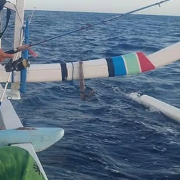 The striped outrigger arm of a boat out on the open sea